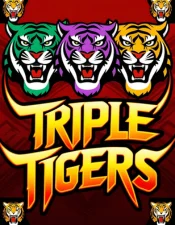 Triple Tigers
